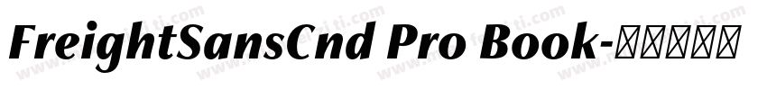 FreightSansCnd Pro Book字体转换